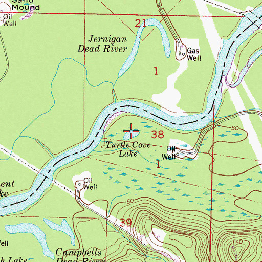 Topographic Map of Turtle Cove Lake, FL