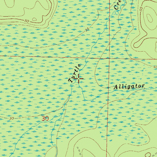 Topographic Map of Turtle Creek, FL