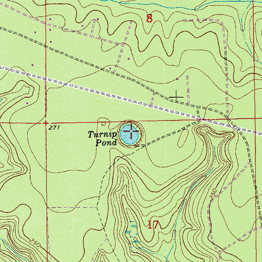 Topographic Map of Turnip Pond, FL