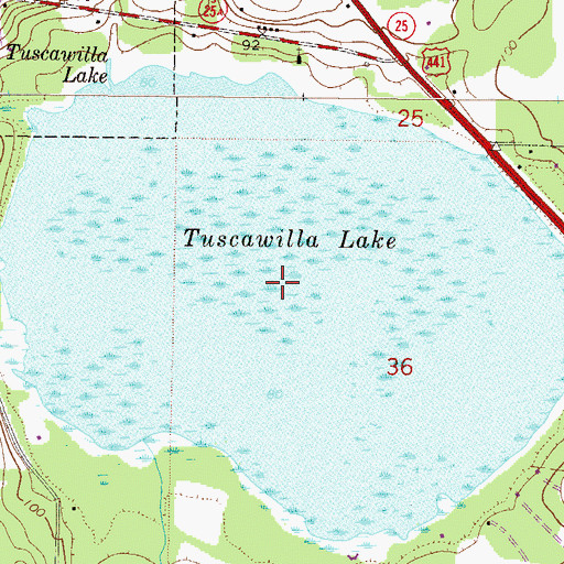 Topographic Map of Tuscawilla Lake, FL