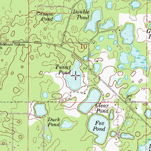 Topographic Map of Tusset Pond, FL