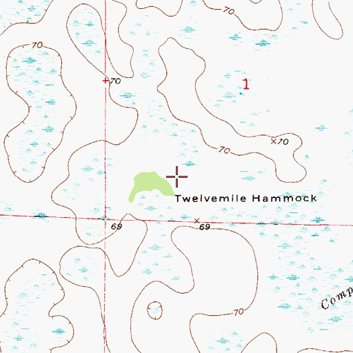 Topographic Map of Twelvemile Hammock, FL