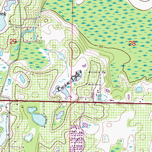 Topographic Map of Twin Lake, FL