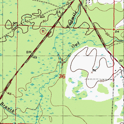 Topographic Map of Twomile Branch, FL