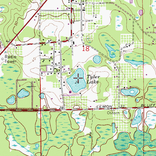 Topographic Map of Tyler Lake, FL