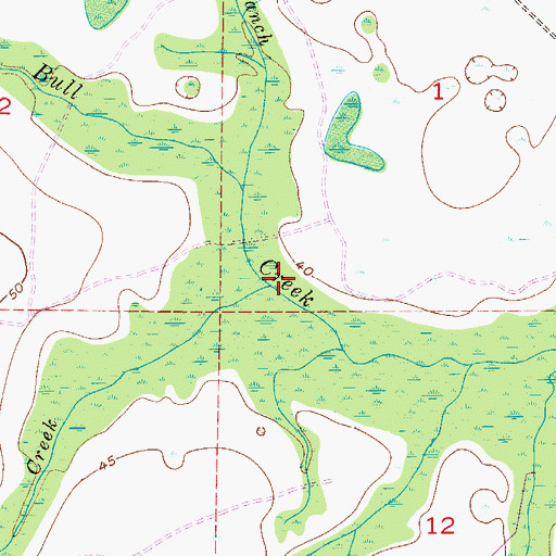 Topographic Map of Tyson Creek, FL