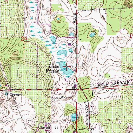 Topographic Map of Lake Victor, FL