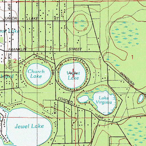 Topographic Map of Violet Lake, FL