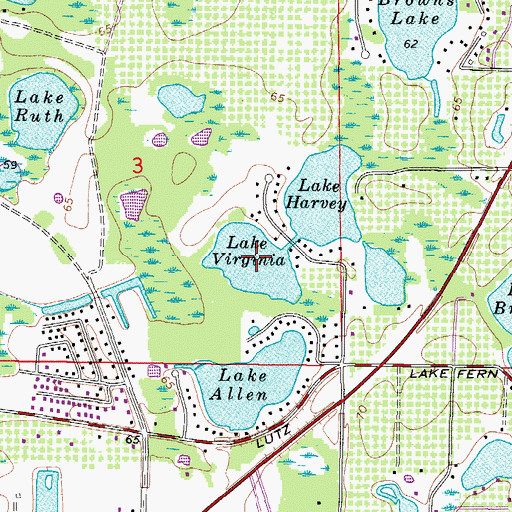 Topographic Map of Lake Virginia, FL