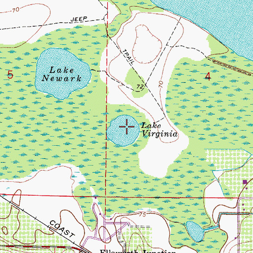 Topographic Map of Lake Virginia, FL