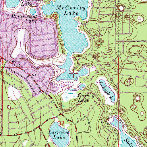 Topographic Map of Vivian Lake, FL
