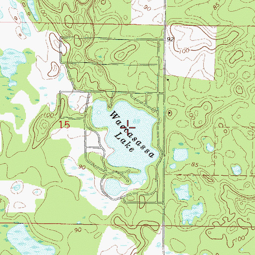 Topographic Map of Waccasassa Lake, FL