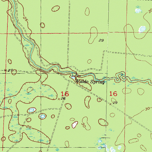 Topographic Map of Waldo Spring, FL