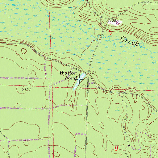 Topographic Map of Walton Pond, FL