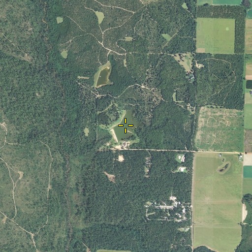 Aerial/Satellite Image of Lake Wami, FL