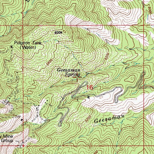 Topographic Map of Geesaman Spring, AZ