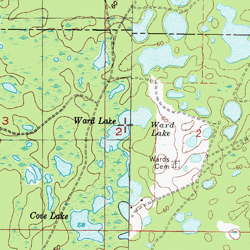 Topographic Map of Ward Lake, FL