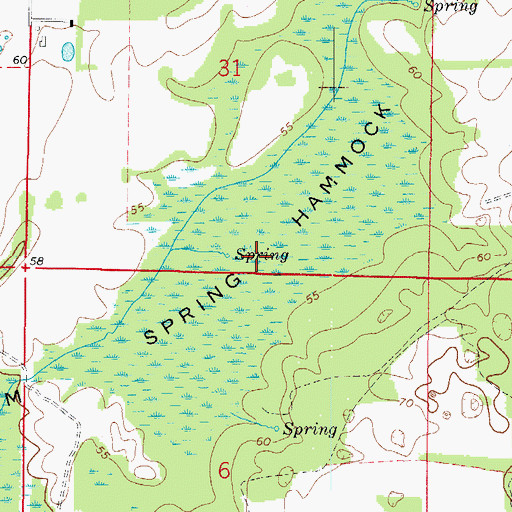 Topographic Map of Warm Spring Hammock, FL