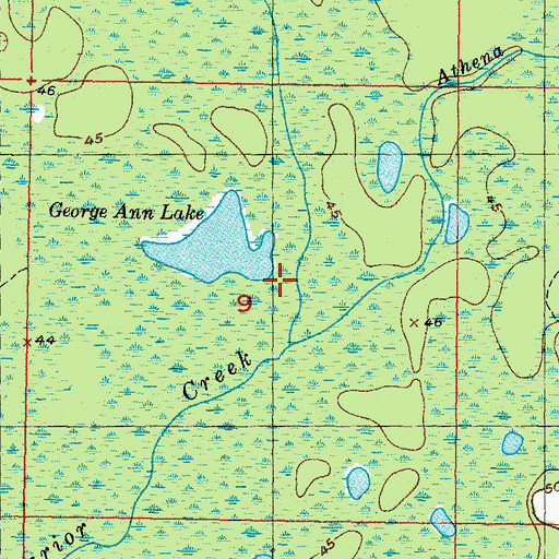 Topographic Map of Warrior Swamp, FL