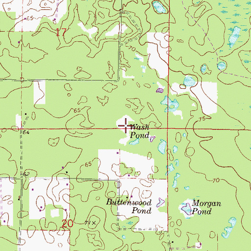 Topographic Map of Wash Pond, FL