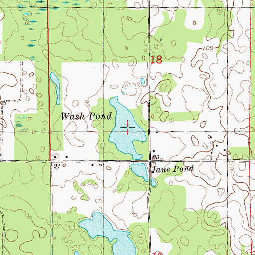 Topographic Map of Wash Pond, FL