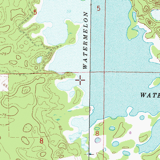 Topographic Map of Watermelon Pond, FL