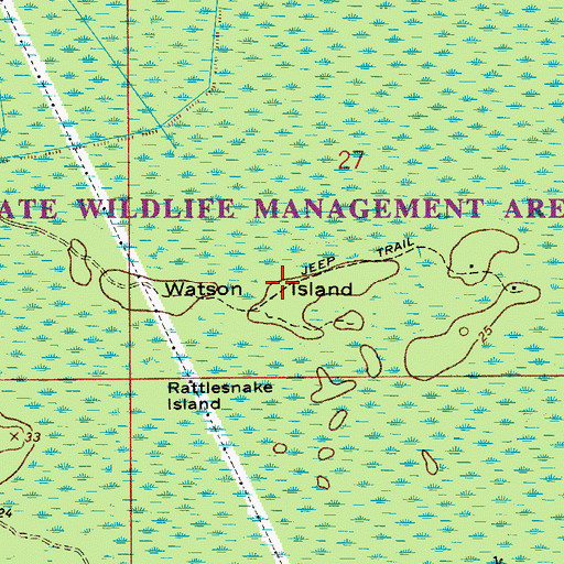 Topographic Map of Watson Island, FL
