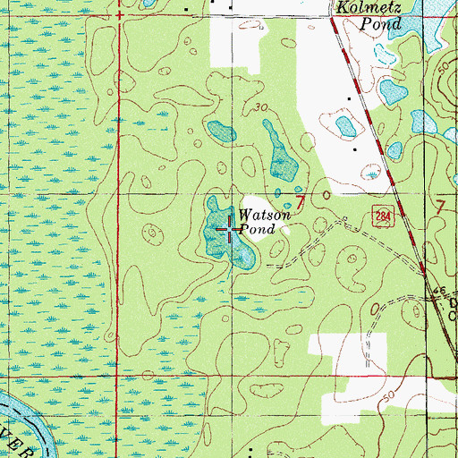 Topographic Map of Watson Pond, FL