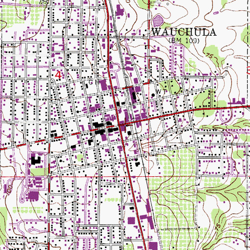 Topographic Map of Wauchula, FL