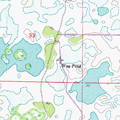 Topographic Map of Way Pond, FL
