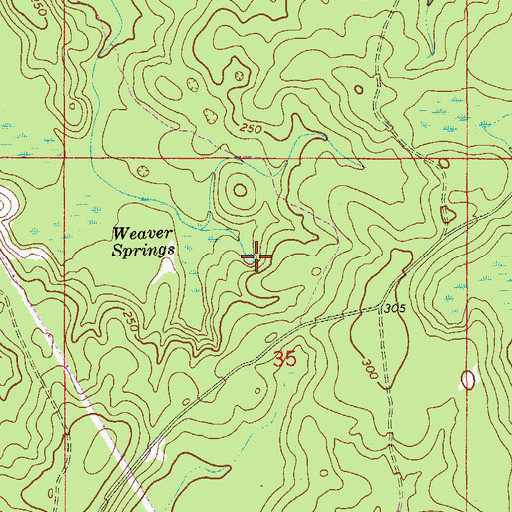 Topographic Map of Weaver Springs, FL