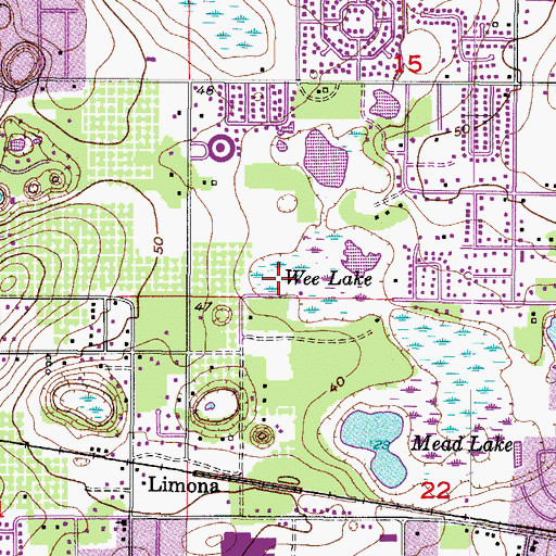 Topographic Map of Wee Lake, FL