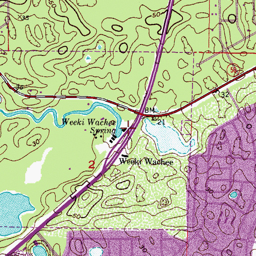 Topographic Map of Weeki Wachee Spring, FL