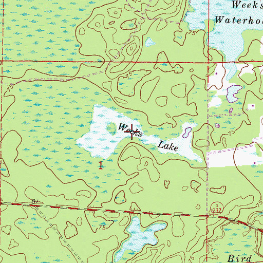 Topographic Map of Weeks Lake, FL