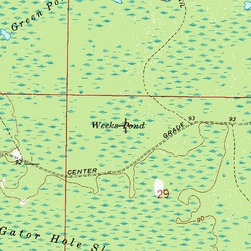 Topographic Map of Weeks Pond, FL