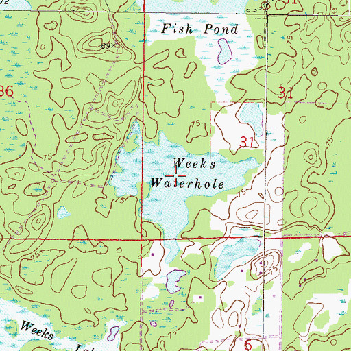 Topographic Map of Weeks Waterhole, FL