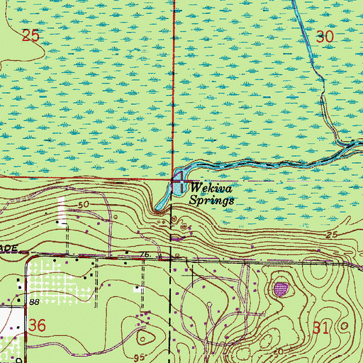 Topographic Map of Wekiwa Springs, FL