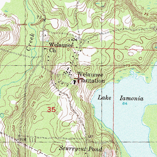 Topographic Map of Welaunee Plantation, FL
