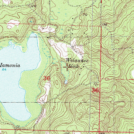 Topographic Map of Welaunee Sink, FL