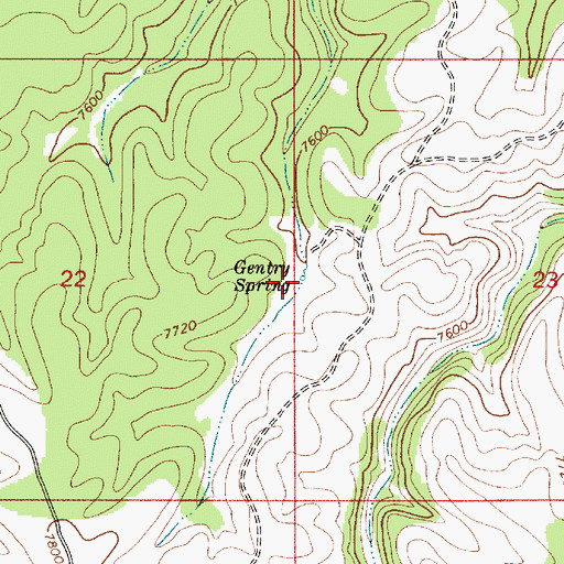 Topographic Map of Gentry Spring, AZ