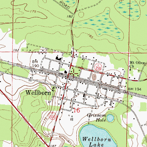 Topographic Map of Wellborn, FL