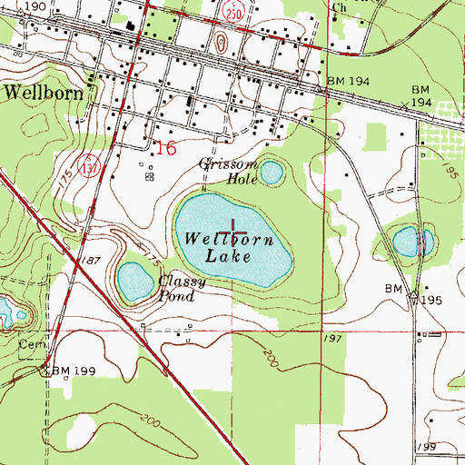 Topographic Map of Wellborn Lake, FL