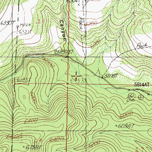 Topographic Map of George Wood Canyon, AZ