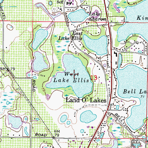 Topographic Map of West Lake Ellis, FL