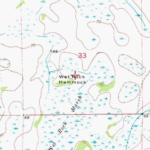 Topographic Map of Wet Rock Hammock, FL