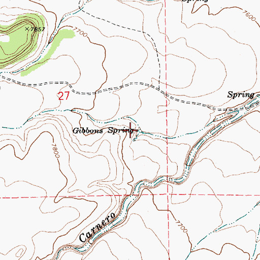 Topographic Map of Gibbons Spring, AZ