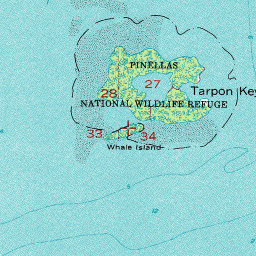Topographic Map of Whale Island, FL
