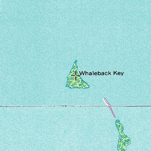 Topographic Map of Whaleback Key, FL