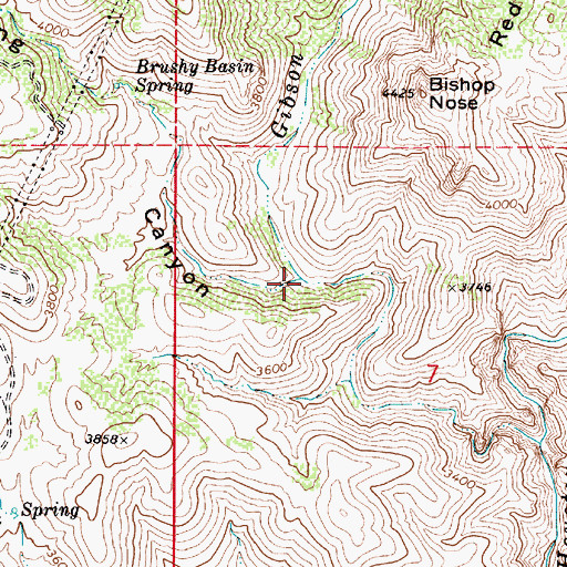 Topographic Map of Gibson Creek, AZ