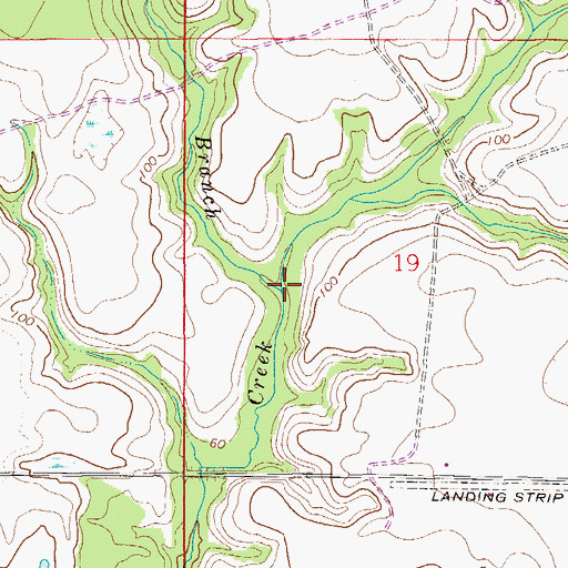 Topographic Map of White Branch, FL